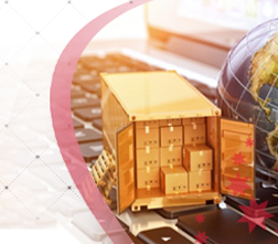 Enhance your project through E-Commerce and Virtual Markets
